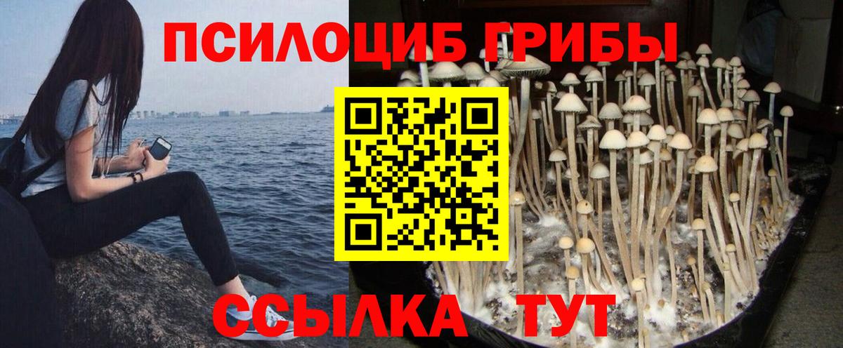 Галлюциногенные грибы Psilocybe  Галлюциногенные грибы Magic Shrooms  Вход с VPN  Калининград 